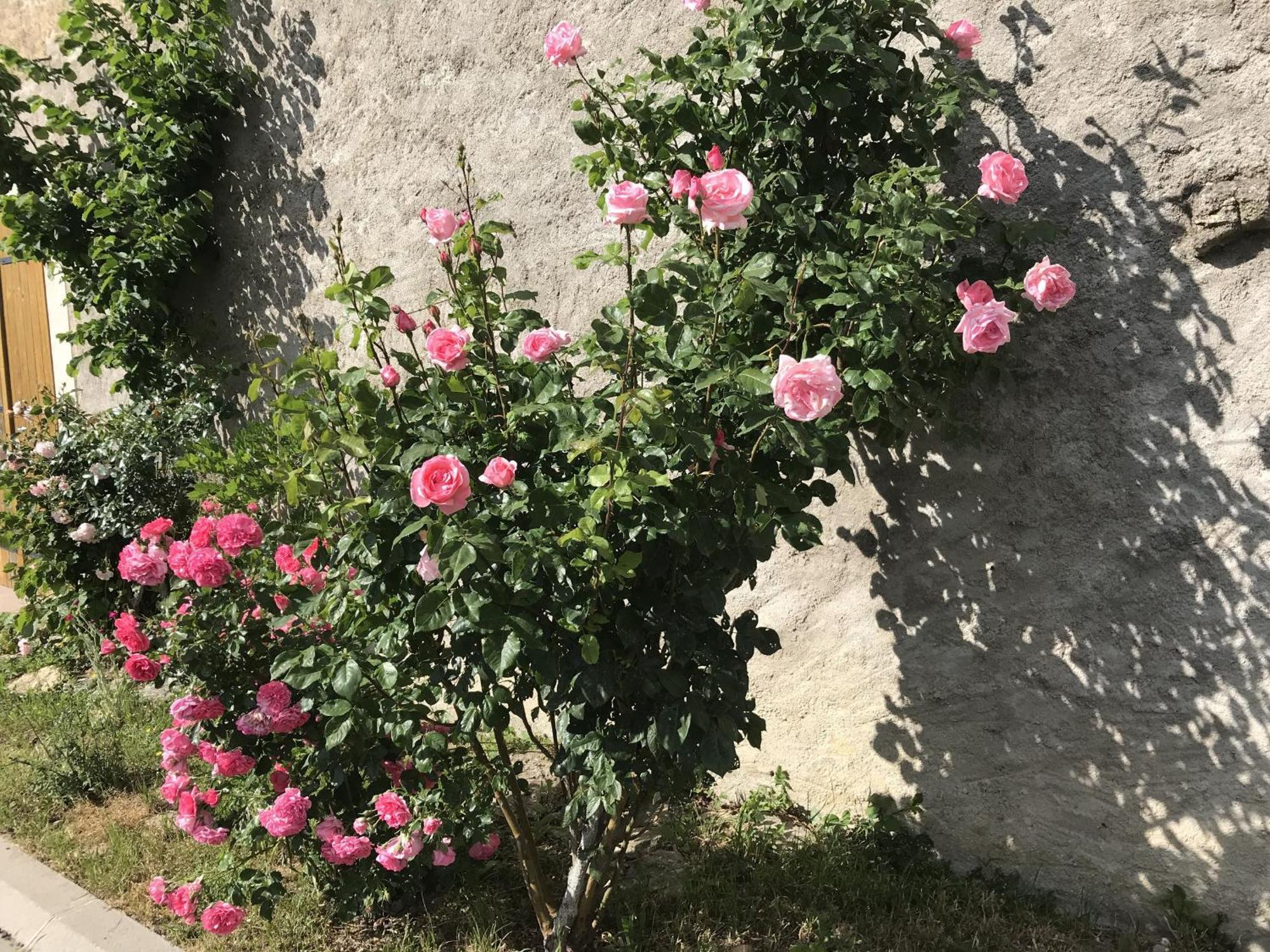 Gite Renove Avec Jardin, Proche Loisirs Et Commerces, A Une Heure De Nancy Et Metz - Fr-1-584-168 Autrepierre Eksteriør billede